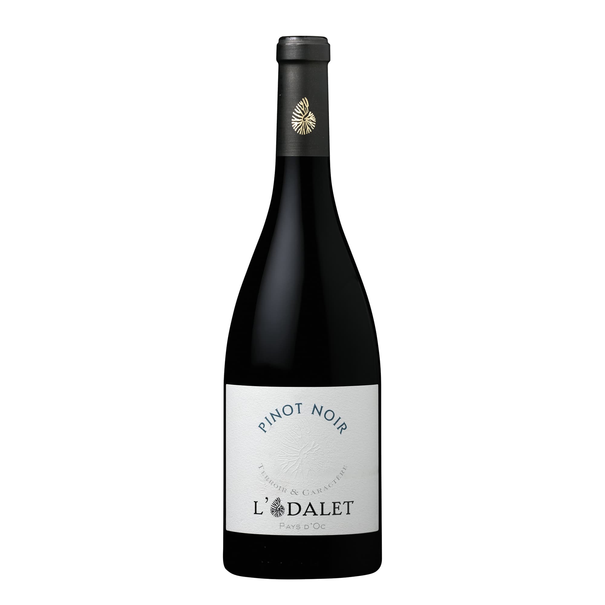 L'ODALET Le Petit Pinot Noir 12,5% 75cl (punane,kuiv)_0