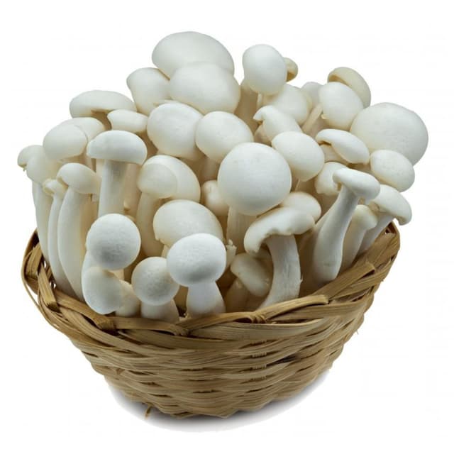 PJ Enokitaki seen 100g product_info