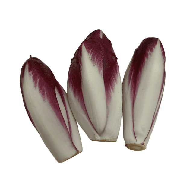 PJ Chicory punane kg product_info