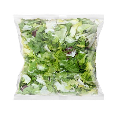 GEEN FACTORY Salatisegu Fresco 500g