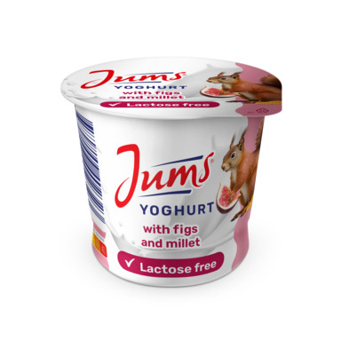 JUMS Jogurt viigimarja-hirsi 125g (laktoosivaba)