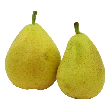 PJ Pirn Guyot kg