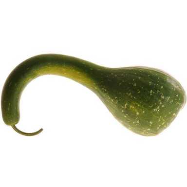 PJ Pudelkõrvits ButterNut kg