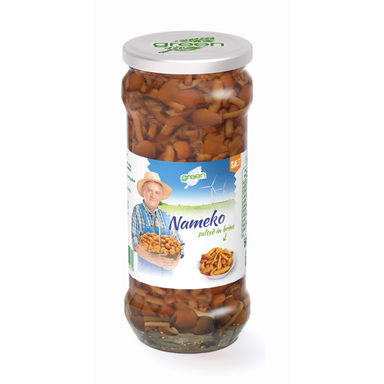 GREEN Kännuseened soolvees 530g