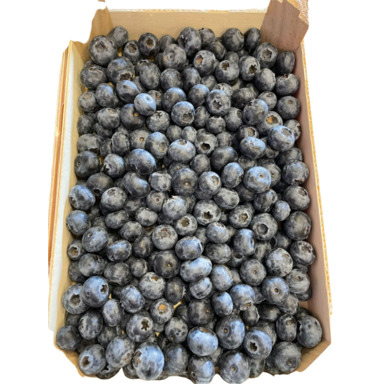 PJ Kultuurmustikas 1kg (karbis)