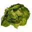 PJ Boston salat kg