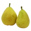PJ Pirn Guyot kg