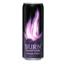 Burn Passion Punch energiajook 0.33L