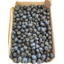PJ Kultuurmustikas 1kg (karbis)